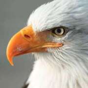 ヒメ日記 2025/04/23 17:26 投稿 かなで 京都の痴女鉄道