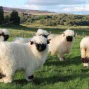 ヒメ日記 2025/04/25 18:46 投稿 かなで 京都の痴女鉄道