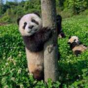 ヒメ日記 2025/04/30 23:36 投稿 かなで 京都の痴女鉄道