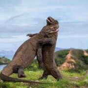 ヒメ日記 2025/05/07 23:21 投稿 かなで 京都の痴女鉄道