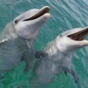 ヒメ日記 2025/05/10 19:33 投稿 かなで 京都の痴女鉄道