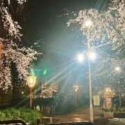 ヒメ日記 2025/05/11 19:16 投稿 かなで 京都の痴女鉄道