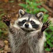 ヒメ日記 2025/05/11 22:26 投稿 かなで 京都の痴女鉄道