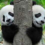 ヒメ日記 2025/05/16 19:26 投稿 かなで 京都の痴女鉄道