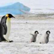 ヒメ日記 2025/05/23 14:26 投稿 かなで 京都の痴女鉄道