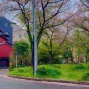 ヒメ日記 2025/05/24 16:46 投稿 かなで 京都の痴女鉄道