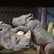 ヒメ日記 2025/05/25 09:56 投稿 かなで 京都の痴女鉄道