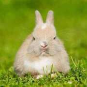 ヒメ日記 2025/05/28 20:26 投稿 かなで 京都の痴女鉄道