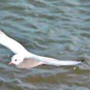 ヒメ日記 2025/05/31 20:26 投稿 かなで 京都の痴女鉄道