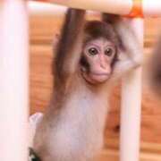 ヒメ日記 2025/06/01 18:17 投稿 かなで 京都の痴女鉄道