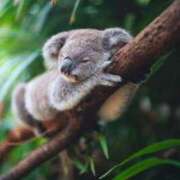 ヒメ日記 2025/06/03 15:26 投稿 かなで 京都の痴女鉄道