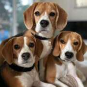 ヒメ日記 2025/06/04 17:26 投稿 かなで 京都の痴女鉄道