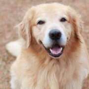 ヒメ日記 2025/06/05 19:26 投稿 かなで 京都の痴女鉄道