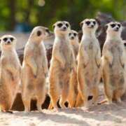 ヒメ日記 2025/06/07 17:26 投稿 かなで 京都の痴女鉄道