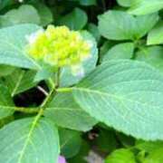 ヒメ日記 2025/06/11 13:16 投稿 かなで 京都の痴女鉄道