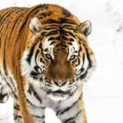 ヒメ日記 2025/06/19 23:35 投稿 かなで 京都の痴女鉄道