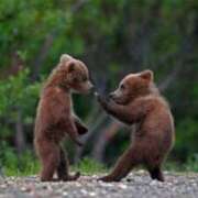 ヒメ日記 2025/06/20 20:28 投稿 かなで 京都の痴女鉄道