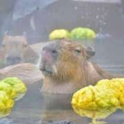 ヒメ日記 2025/06/22 18:16 投稿 かなで 京都の痴女鉄道