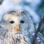 ヒメ日記 2025/06/28 19:32 投稿 かなで 京都の痴女鉄道