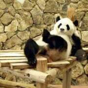 ヒメ日記 2025/06/30 15:06 投稿 かなで 京都の痴女鉄道