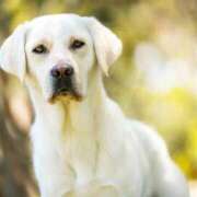 ヒメ日記 2025/07/01 21:26 投稿 かなで 京都の痴女鉄道