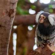 ヒメ日記 2025/07/04 22:26 投稿 かなで 京都の痴女鉄道