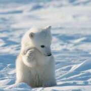 ヒメ日記 2025/07/15 15:26 投稿 かなで 京都の痴女鉄道