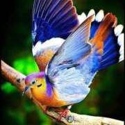 ヒメ日記 2025/07/17 19:33 投稿 かなで 京都の痴女鉄道