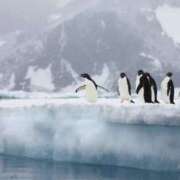 ヒメ日記 2025/07/18 19:33 投稿 かなで 京都の痴女鉄道