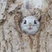 ヒメ日記 2025/07/20 16:56 投稿 かなで 京都の痴女鉄道