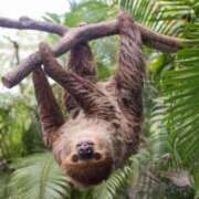 ヒメ日記 2025/07/25 19:16 投稿 かなで 京都の痴女鉄道