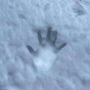 ヒメ日記 2025/07/29 16:43 投稿 かなで 京都の痴女鉄道