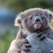 ヒメ日記 2025/08/01 19:26 投稿 かなで 京都の痴女鉄道