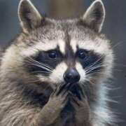 ヒメ日記 2025/08/02 18:46 投稿 かなで 京都の痴女鉄道