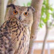 ヒメ日記 2025/08/03 22:26 投稿 かなで 京都の痴女鉄道