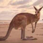 ヒメ日記 2025/08/05 20:26 投稿 かなで 京都の痴女鉄道