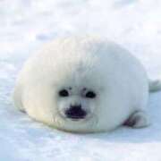 ヒメ日記 2025/08/18 22:26 投稿 かなで 京都の痴女鉄道