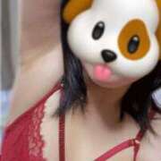 ヒメ日記 2025/08/19 13:26 投稿 かなで 京都の痴女鉄道