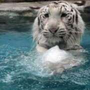 ヒメ日記 2025/08/21 15:16 投稿 かなで 京都の痴女鉄道