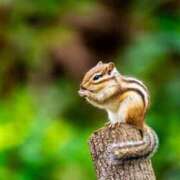 ヒメ日記 2025/08/22 16:56 投稿 かなで 京都の痴女鉄道