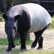 ヒメ日記 2025/08/23 23:16 投稿 かなで 京都の痴女鉄道