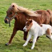 ヒメ日記 2025/08/25 15:26 投稿 かなで 京都の痴女鉄道
