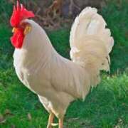 ヒメ日記 2025/08/30 00:26 投稿 かなで 京都の痴女鉄道