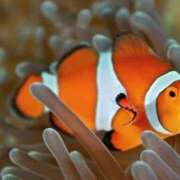 ヒメ日記 2025/08/30 21:06 投稿 かなで 京都の痴女鉄道