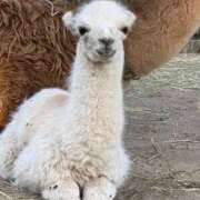 ヒメ日記 2025/09/05 21:26 投稿 かなで 京都の痴女鉄道