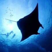 ヒメ日記 2025/09/07 17:16 投稿 かなで 京都の痴女鉄道