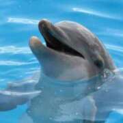 ヒメ日記 2025/09/08 16:26 投稿 かなで 京都の痴女鉄道