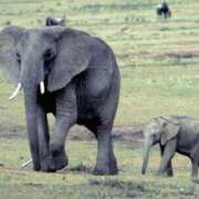 ヒメ日記 2025/09/11 23:32 投稿 かなで 京都の痴女鉄道