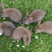 ヒメ日記 2025/09/16 23:26 投稿 かなで 京都の痴女鉄道