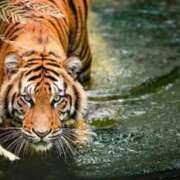 ヒメ日記 2025/09/23 23:16 投稿 かなで 京都の痴女鉄道